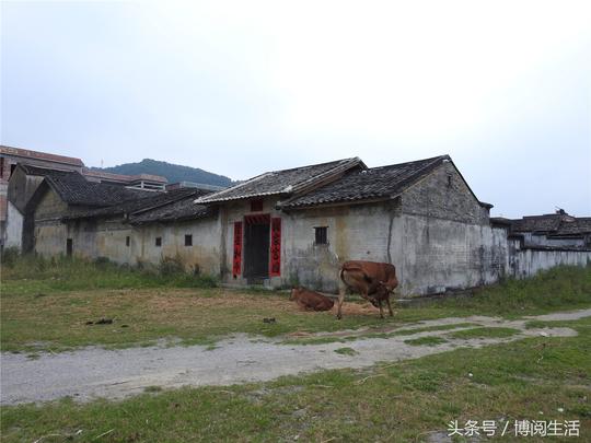 罗定老屋：朗塘兴隆里大屋，屋内摆放多件旧物件，你见识过吗