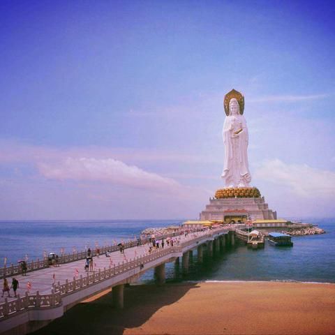 黄金观音无锡市哪里有卖