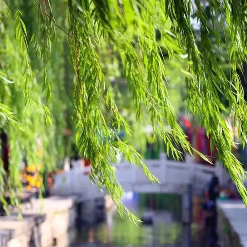 济南学素描多少钱相关长尾关键词有哪些