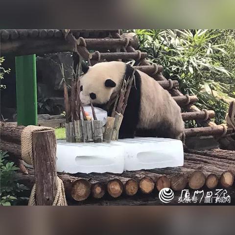 厦门市民套餐价格多少