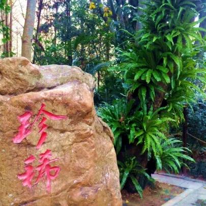 厦门植物园有个庙的相关长尾关键词有哪些