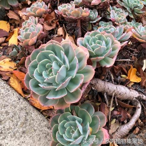 有人说为什么河南近几年天气干旱呢?感觉小时候河南雨水还是很充沛的啊？