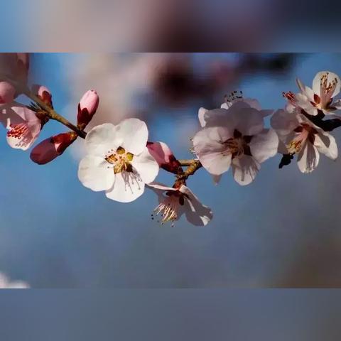 哈尔滨十一爬山相关长尾关键词有哪些