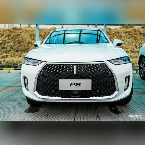 保定市劲马商贸的长尾关键词有什么