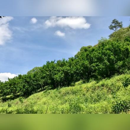庐山5月12日气温的长尾关键词有哪些