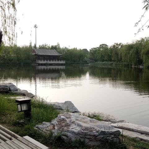 天津大学风景园林考什么