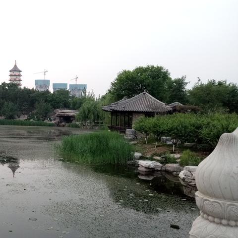 天津特色园林建材怎么样