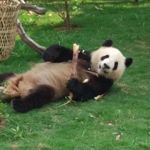 厦门市民卡到哪里更换