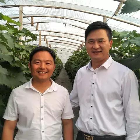 河南夏邑扶贫的相关长尾关键词有哪些