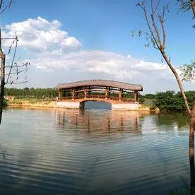 东莞市清溪餐厅有哪些