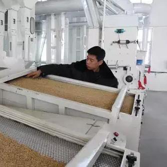 苏州市常熟市加工大米