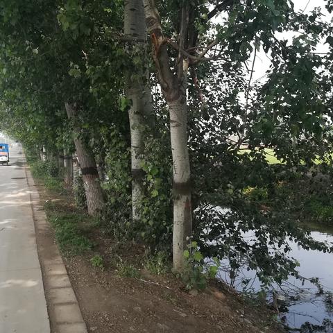 石家庄市永壁村归哪里管