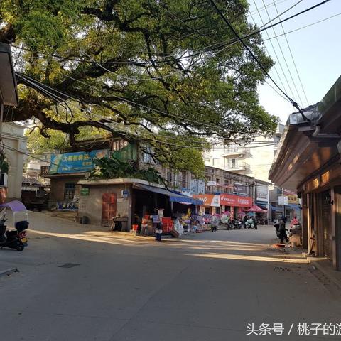 厦门公务员门户的相关长尾关键词有哪些