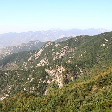 临沂市霸王茶姬的长尾关键词有哪些