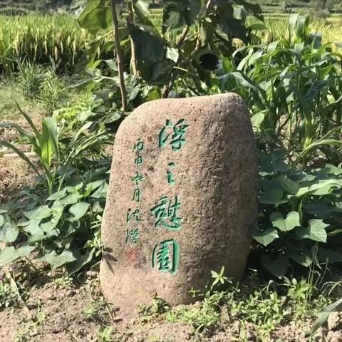 温州市楠溪江山水的长尾关键词有什么