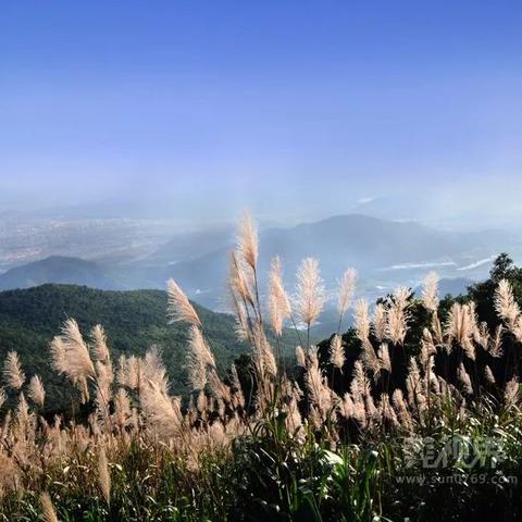 东莞市游玩好地方在哪里