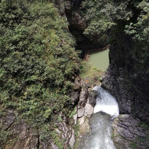 重庆出发8个避暑旅游地方推荐