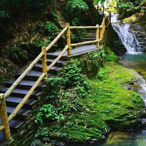 重庆黑山谷在哪个区