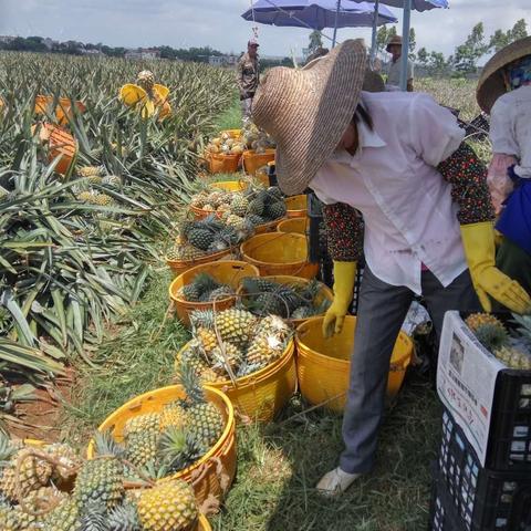 河南大学怎么样赚钱
