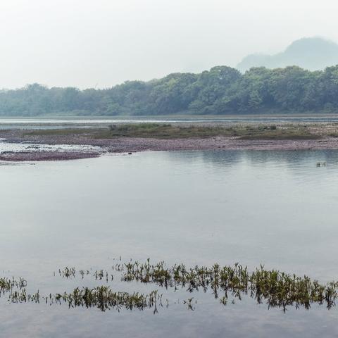 桂林那个公园最好玩？