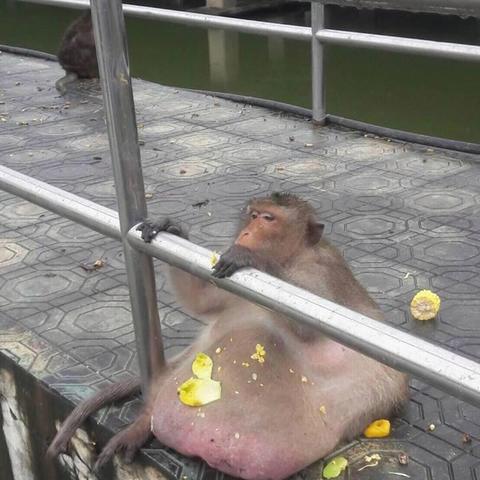 西瓜影院电影的长尾关键词有哪些