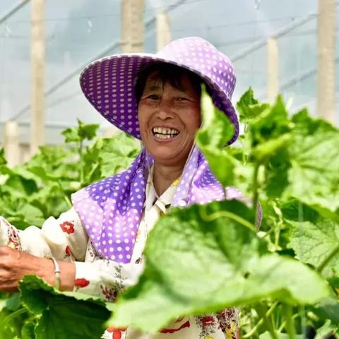 河南天豫薯业股份有限公司的相关长尾关键词有哪些