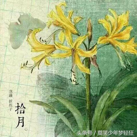 从八字读懂你未来的运势走向