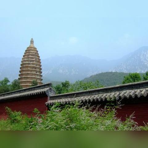 天津思塔高怎么样