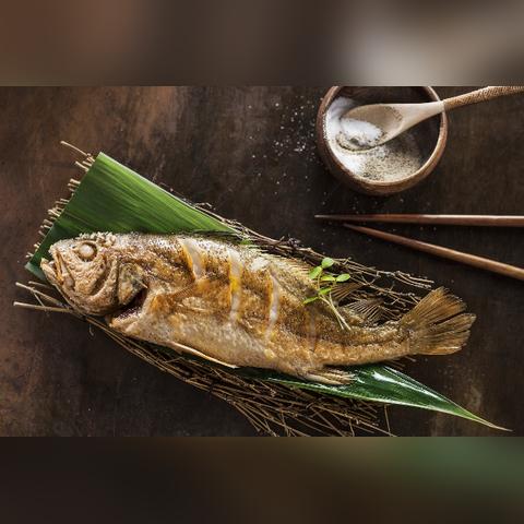 哈尔滨鱼类批发相关长尾关键词有哪些