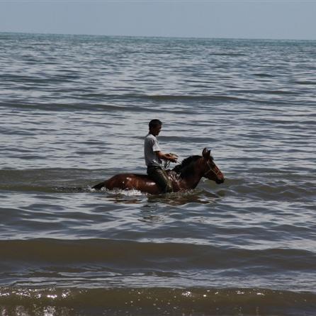 青海湖离兰州多远？