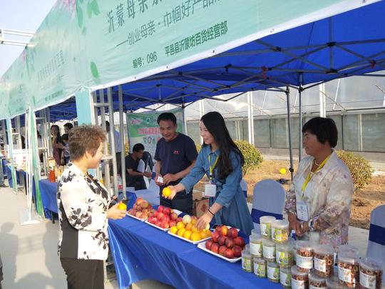展创业创新成果呈巾帼建功风采——平邑县7家企业亮相临沂市创业母亲巾帼好产品展