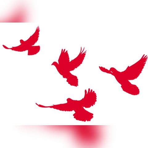 西安市怎么取公积金的钱