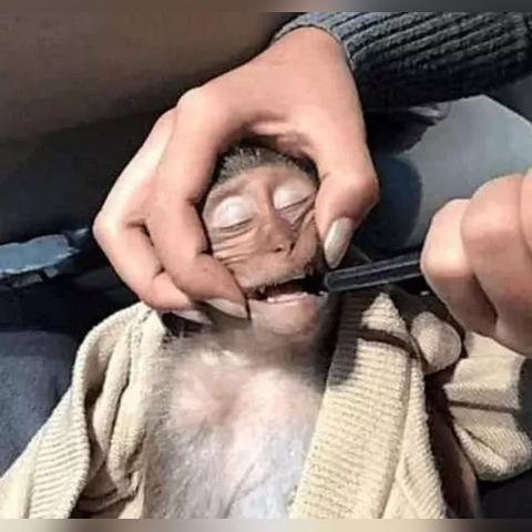 武汉乱煮的长尾关键词有什么