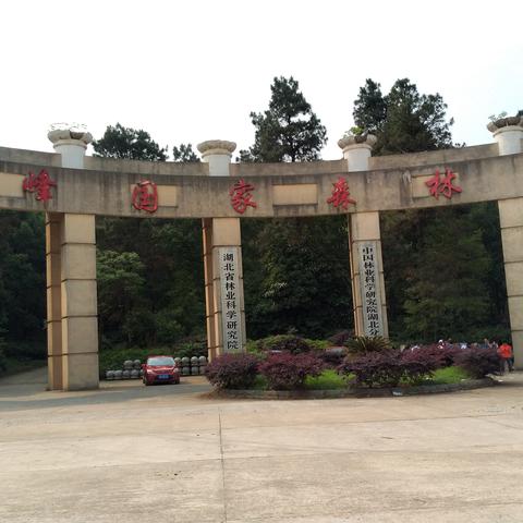 武汉市九峰是哪个区