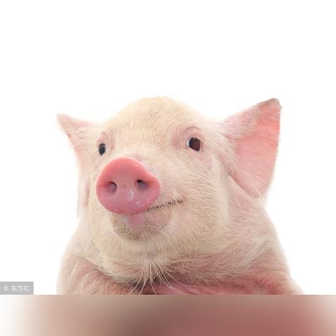 对羟基苯甲酸.对羟基苯甲酸酯是激素吗？