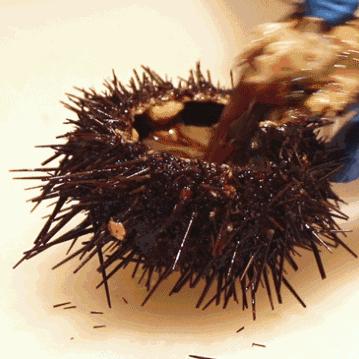 厦门喝什么啤酒的多？