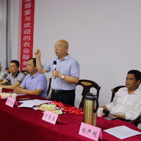 长沙谢站长相关长尾关键词有哪些