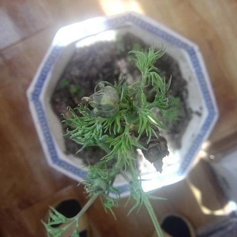 邢台到山东菏泽市汽车的长尾关键词有什么