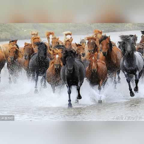 兰州往事三的相关长尾关键词有哪些