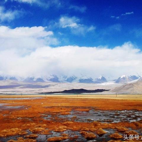 甘肃胡杨林十月天气的长尾关键词有哪些