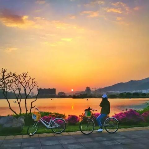 临沂市四季城房子怎么样