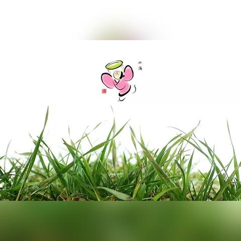 沈阳百谷百麦食品相关长尾关键词有哪些