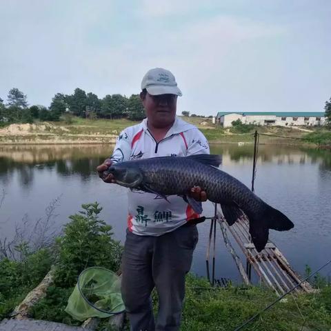 河南钓鱼用什么饵好钓