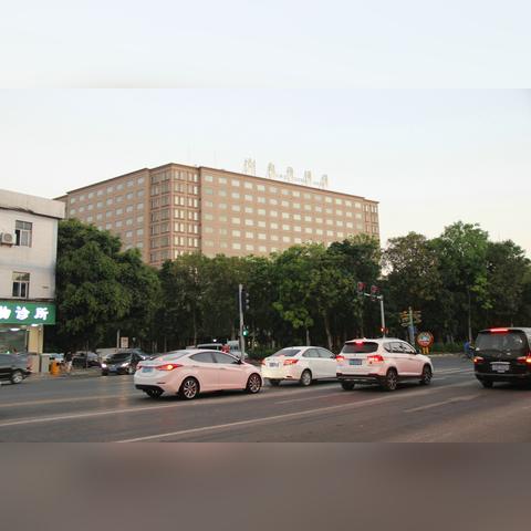 东莞市优惠酒店有哪些店