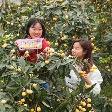 桂林市岭底村在哪里啊