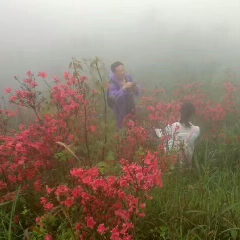 桂林水库今日头条相关长尾关键词有哪些