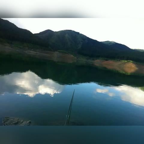 桂林市具体有几个区几个县？