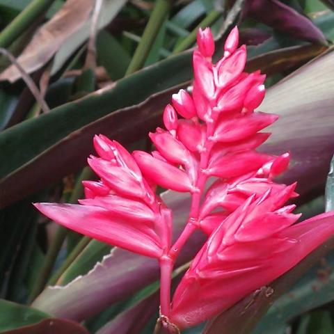 蓦然回首什么意思