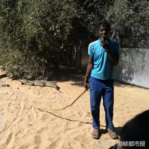 福建跳舞护士的相关长尾关键词有哪些