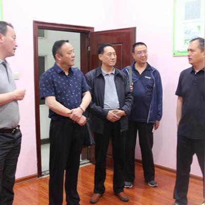 河南妹子工作怎么样